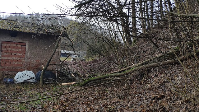 10. 2. 20 - pád stromu na střechu, ul. Na Táboře