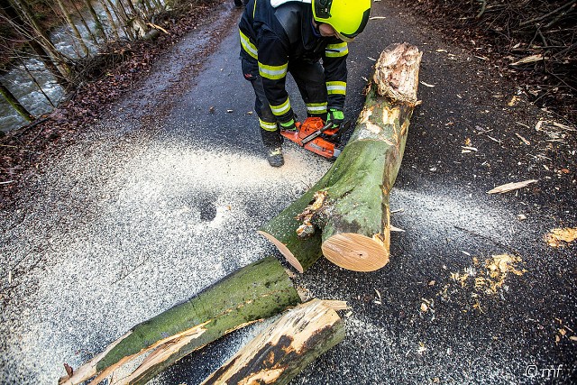 20. 2. 20 - odstranění stromu z komunikace, směr Peklo