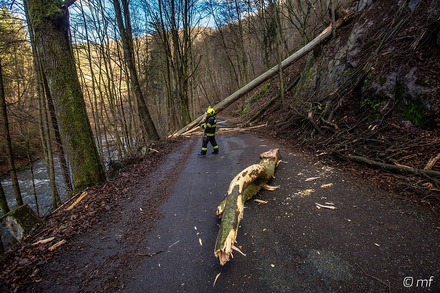 20. 2. 20 - odstranění stromu z komunikace, směr Peklo