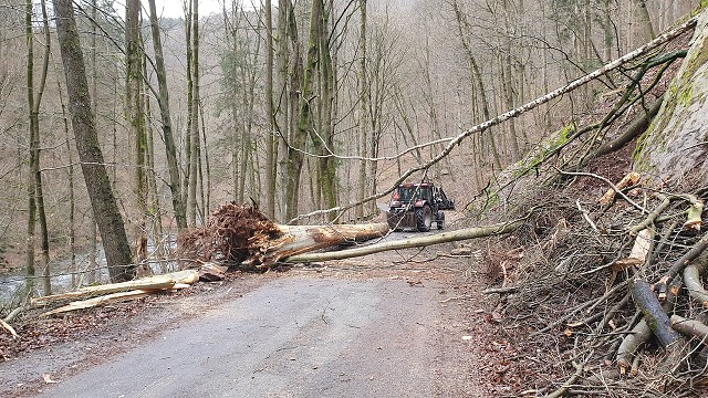 20. 2. 20 - odstranění stromu z komunikace, směr Peklo