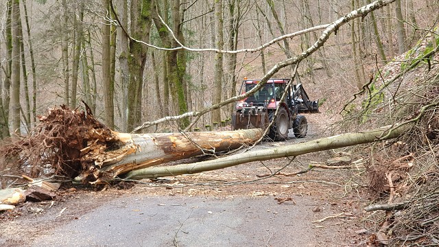 20. 2. 20 - odstranění stromu z komunikace, směr Peklo