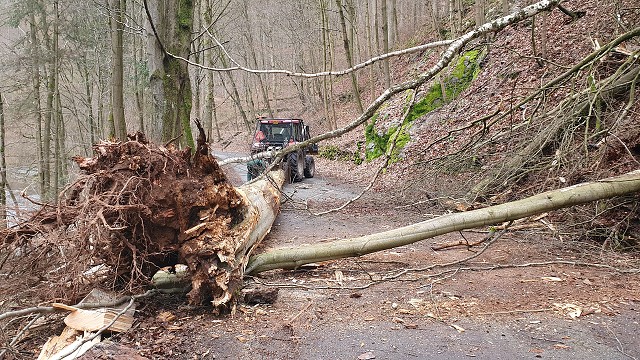 20. 2. 20 - odstranění stromu z komunikace, směr Peklo