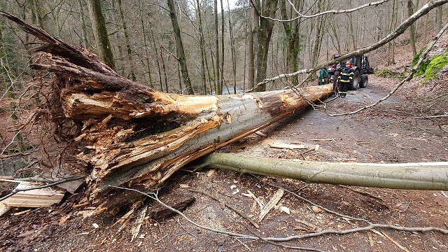 20. 2. 20 - odstranění stromu z komunikace, směr Peklo