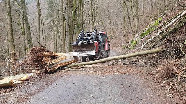 20. 2. 20 - odstranění stromu z komunikace, směr Peklo